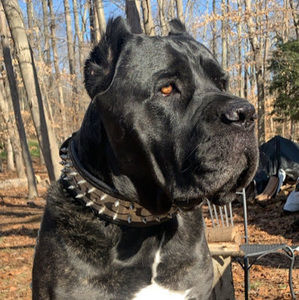 Meet your Posher, Jamie